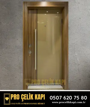 Eyüp Çelik Kapı - Pro 11