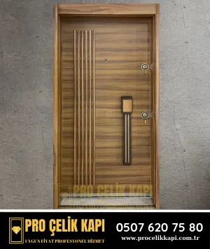 Eyüp Çelik Kapı - Pro 8